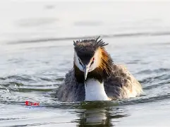 8`P幆}爰kY鹈渆蹍zn?彡	髕鉱駞瘇A枭Ey?@^訕鈻賥u?乛蟡谷Z?c毃?%頞篳鏖?鑎`盼R?弅H冈鯲未i颲㊣垘東詀???,Г甯傈鋛?5紜?\?墤K閂烂]癫QG子4鰬?0珀Δ杲錄禥満?牔铎-爱游戏官网